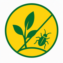 Insecticide
