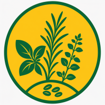 Semințe plante aromatice